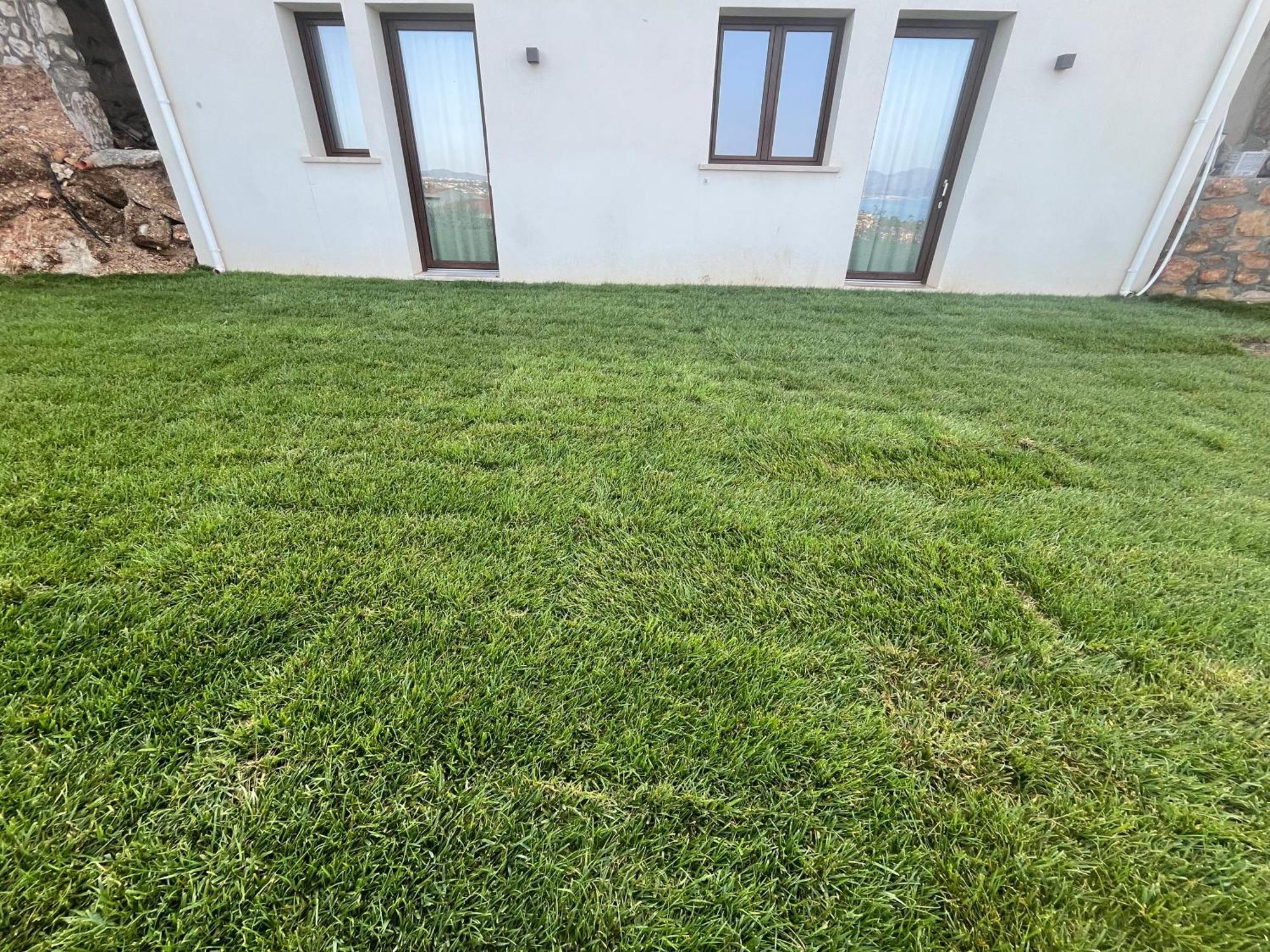 Tenuta Rapillo Castellammare del Golfo Kültér fotó